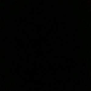 Meet your Posher, Parker